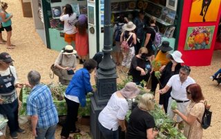 Members give away plant cuttings and Saw Dust Green Day event