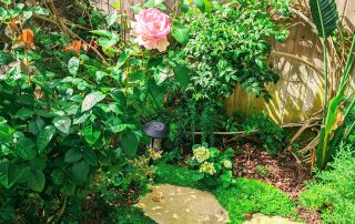 Stone path with pink rose at the 2022 Gate and Garden Tour