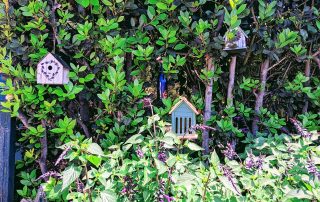 Birdhouses in a lush garden border at the 2022 Gate and Garden Tour