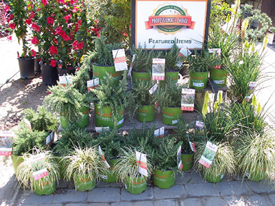 Plants at the Village Nursery, Huntington Beach