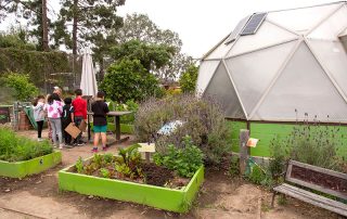Green house and raised garden at the TOW school garden