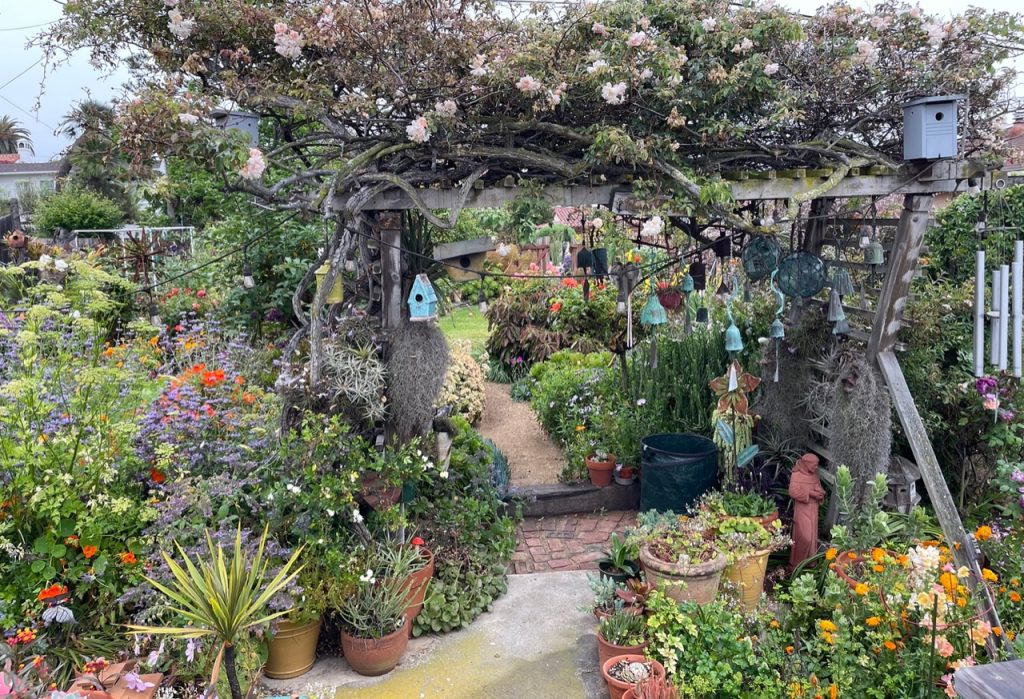 rose arbor in our garden of the year