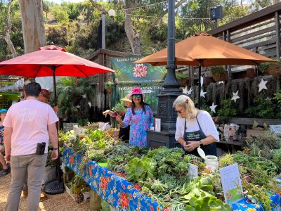 Garden club participates in Green Day at the Sawdust Festival
