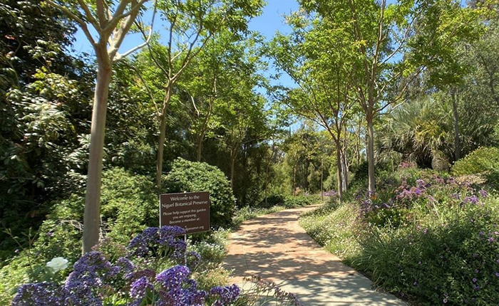 Niguel Botanical Preserve pathway