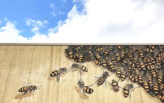 Willey Bee Mural