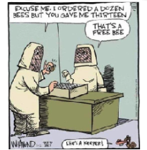 Bee cartoon. 