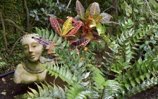 statue and fern at garden #11